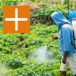 Direct Crop Treatment