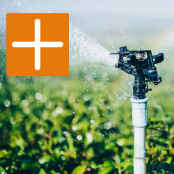Direct Irrigation