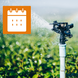 Scheduled Irrigation